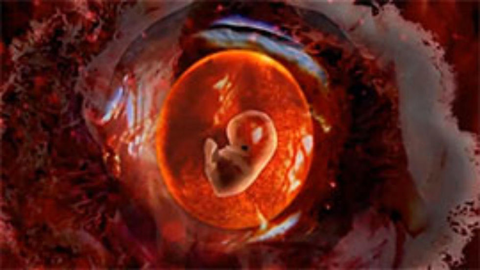CAN AN EMBRYO FALL OUT AFTER TRANSFER?