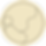 Illustration of a baby in the womb