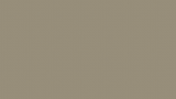 Dot_Pattern_Olive.png