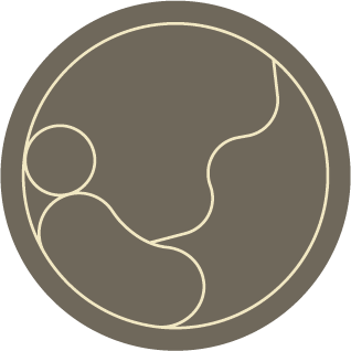 Illustration of a baby in the womb