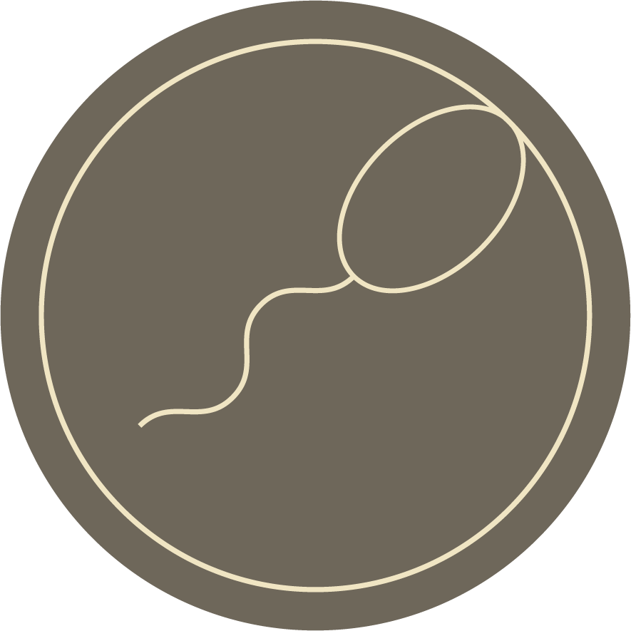 Sperm-Donor.png