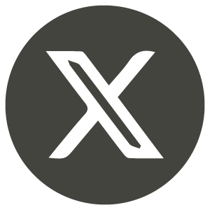 NS-GG_Web_icon-x.png