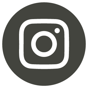NS-GG_Web_icon-ig.png