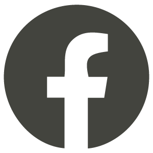 NS-GG_Web_icon-fb.png