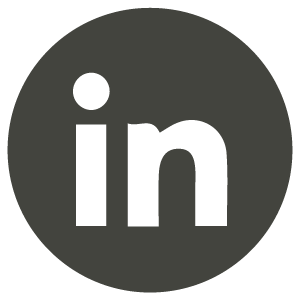 NS-GG_Web_icon-linkedin.png